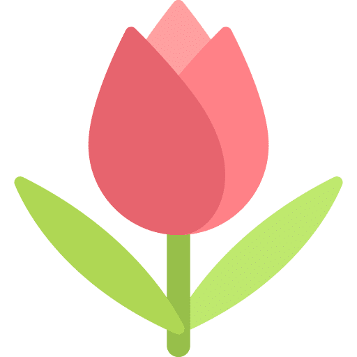 Desenho de uma tulipa cor rosa